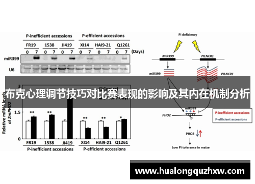 布克心理调节技巧对比赛表现的影响及其内在机制分析